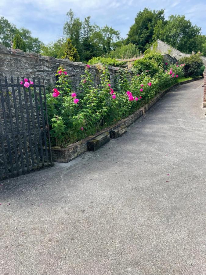 Large Townhouse With Gardens Apartment Kingscourt Exterior photo